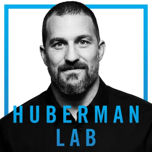 huberman lab podcast